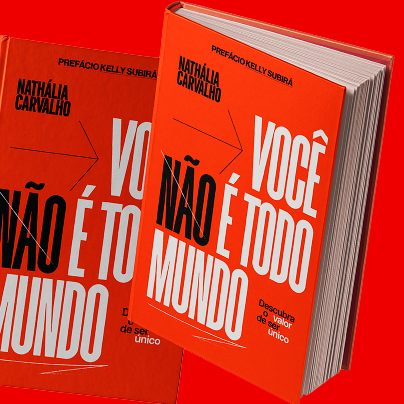 LIVRO VOCÊ NÃO É TODO MUNDO