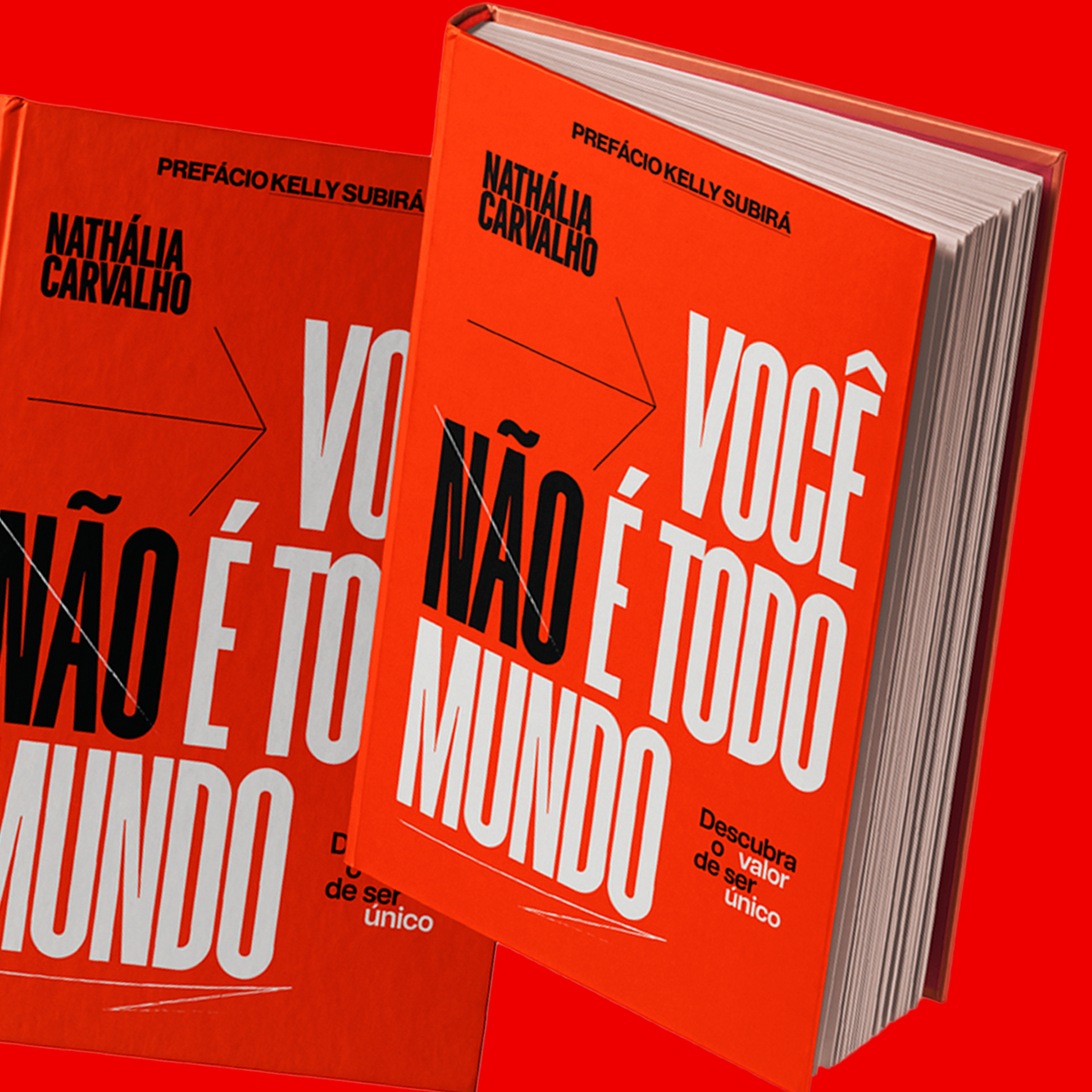 LIVRO VOCÊ NÃO É TODO MUNDO